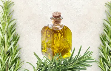 rosemary oil image article of azara natural