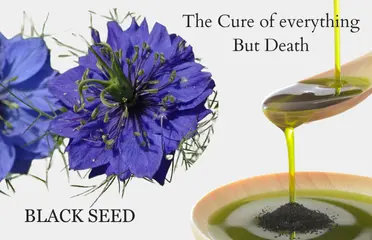 nigella sativa article image of azara natural