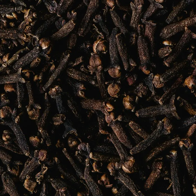 Clove buds — Eugenia caryophyllus