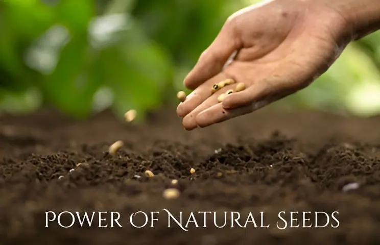 The Power of Nature