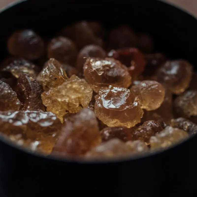 Myrrh resin — Commiphora myrrha