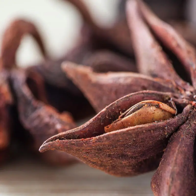 Anise seeds — Pimpinella anisum