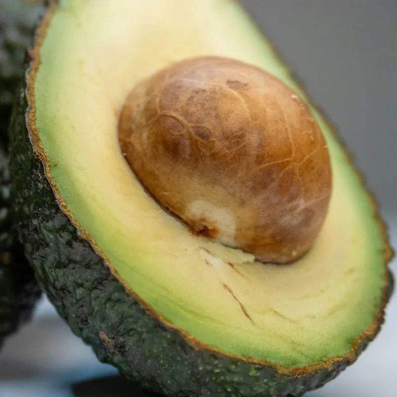 Halved avocado — Persea Gratissima
