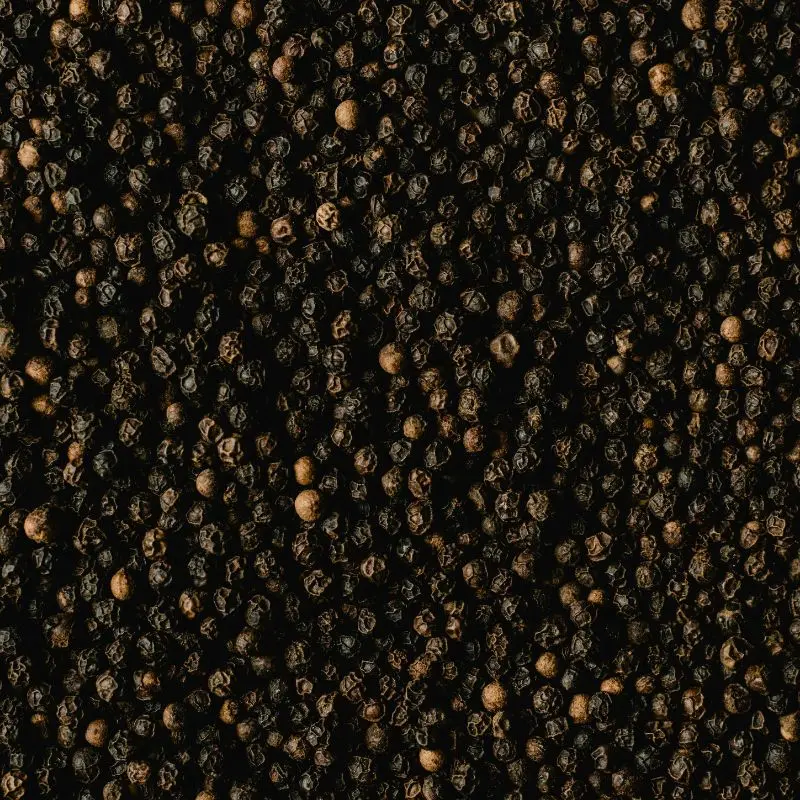 Black pepper corns — Piper nigrum