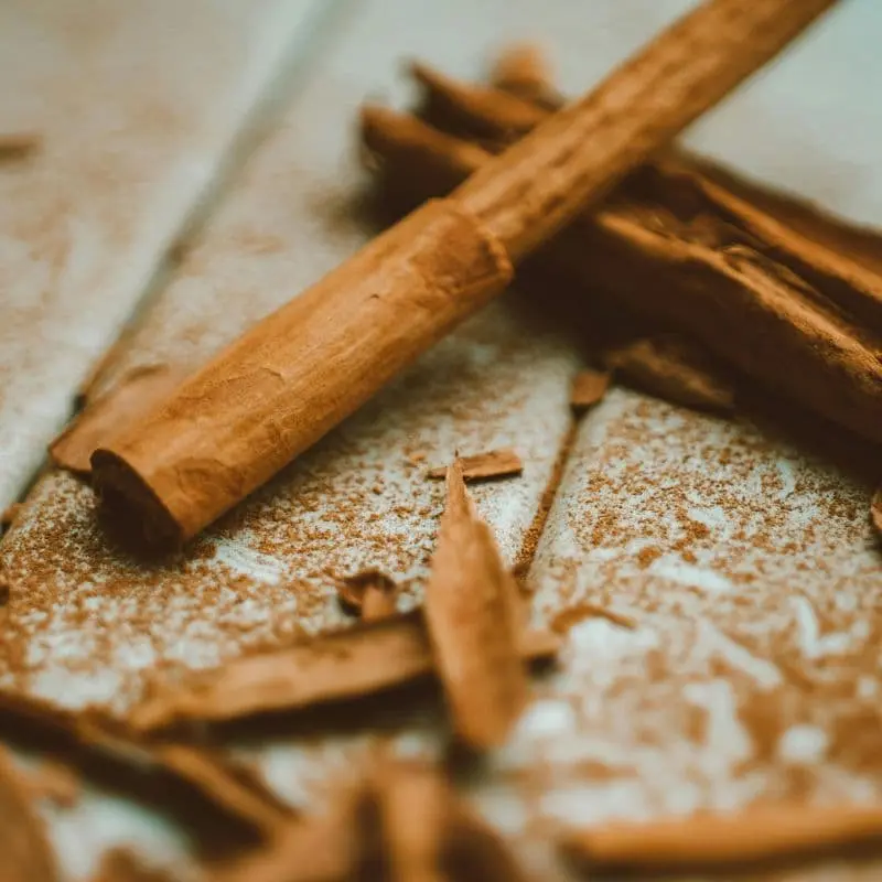 Cinnamomum cassia botanical source