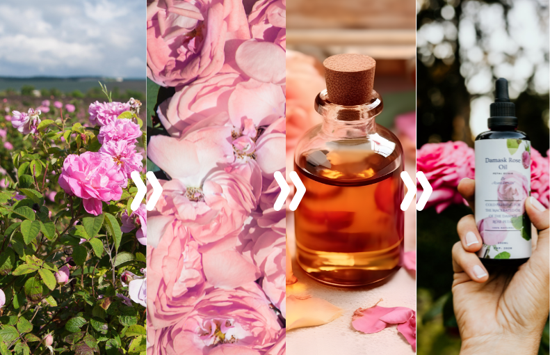 damask rose oil image article of azara natural 