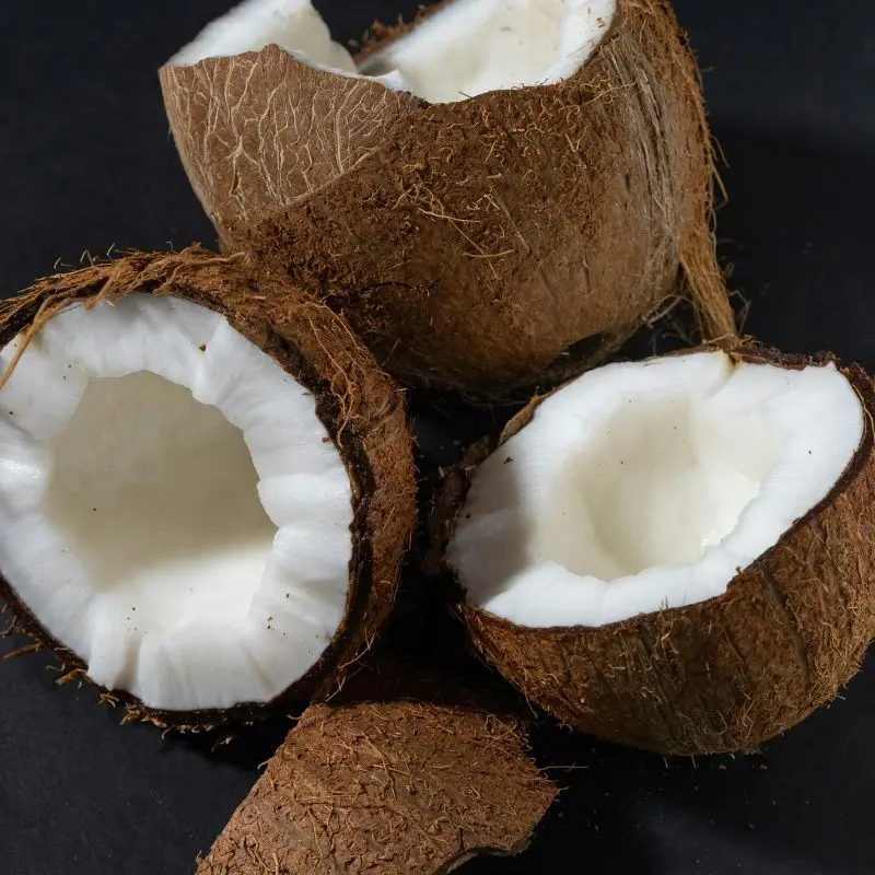 Coconut halved — Cocos nucifera