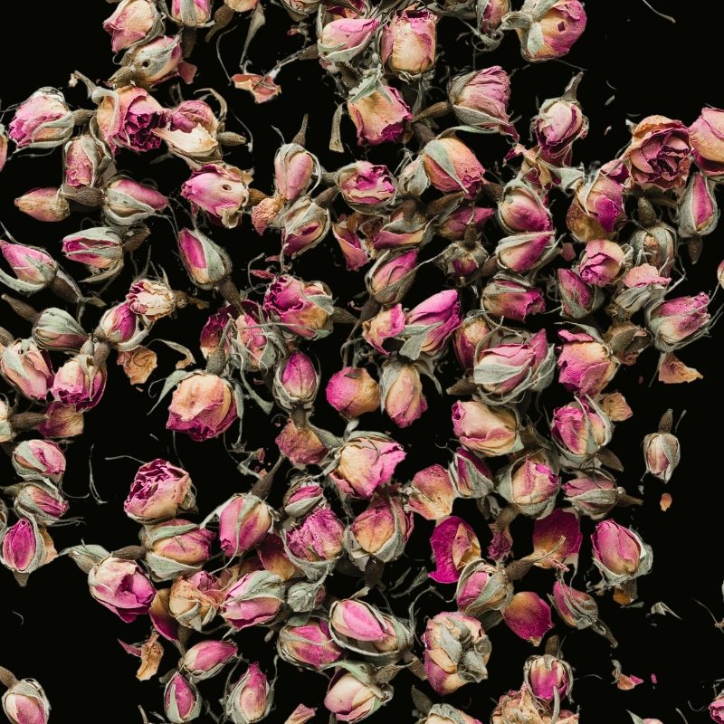 Dried Damascus rose buds